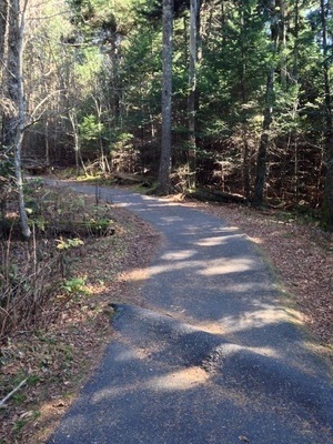 [Speed bumps on a foot path. What?]