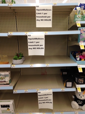 [Some empty shelves with multiple signs on it that all say “All SquishMallows Limit 1 per household per day NO HOLDS”] Oh great!  Now I'm gonna have to hit the SquishMallows black market to get my fix!