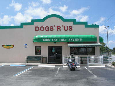 [The almost famous Dogs ‘R’ Us]