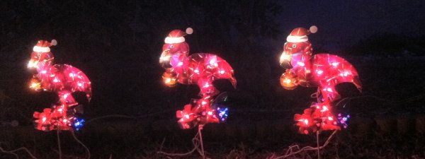 [For Florida, Santa gives his reindeer a break and switches to the Florida Flamingo Squadron #7—The Santa Brigade]