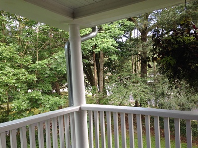 [The view from our pourch. Real trees! Shade! And we don't have to worry about alligators as there are none around here for miles! But there are bears ...]