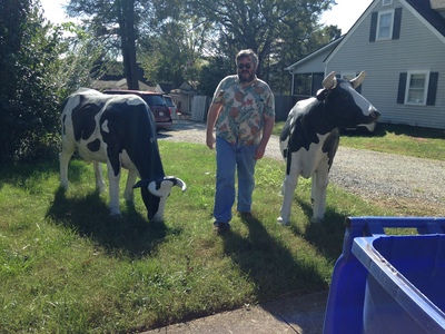 [One cow ignored me, the other cow wanted nothing to do with me. Those plastic cows are so tempremental.]