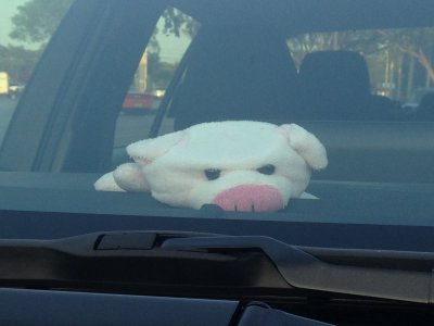 [A toy stuffed pig in the windshield of a parked car, looking mighty angry] “Come on!  Just a few steps closer!  I dare ya!  Just come another step closer …”