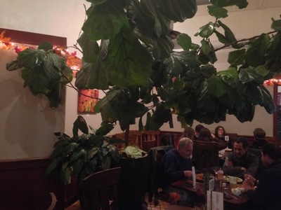 [A live tree inside a restaurant] At least it provides shade against the restaurant lights as it looms large overhead.