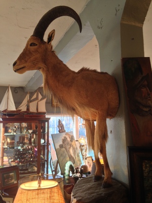 [A picture of half a taxidermied gazelle—at least it's the front half] I …I don't think leaving the front legs on added anything but disturbing dreams.