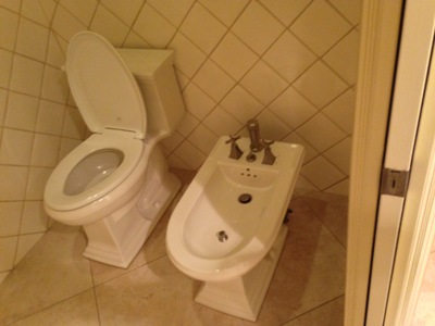 [On the left a toilet, and on the right, a bidet.] The bidet … only slightly less mysterious than the three clam shells.