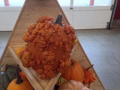 [Picture of a pumpkin with that look like very scary cancerous growths all over it] “Tetsuooooooooooooooooooo!”