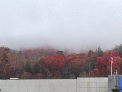 [Clouds are very low, low enough to cover the tree tops behind a one story building.] Talk about having our heads in the clouds …