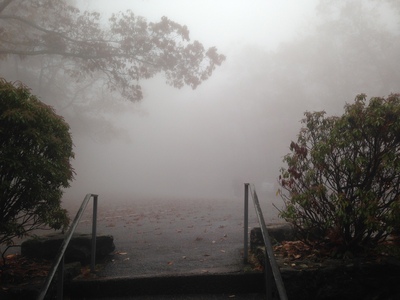 [Trees and fog near the top of a staircase.] You can't see the forest for the fog.