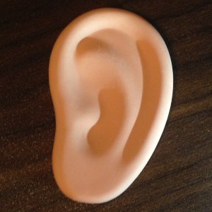 [An image of a pencil eraser in the shape of a human ear] “'Ere you go! Earase to your ear's content!”